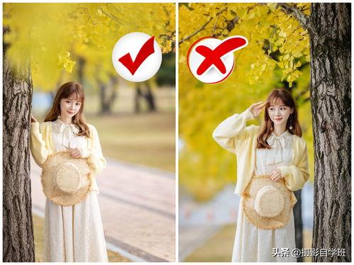 头条拍什么图片好看,揭秘拍出吸睛图片的秘诀