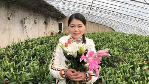 连云港乡村小乔头条,探寻美丽乡村的绿色奇迹”