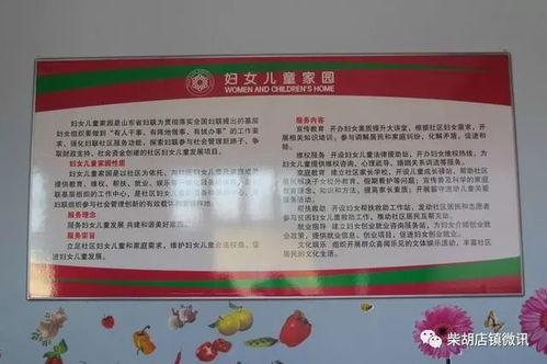 滕州柴胡今日头条,探寻中医药宝库中的瑰宝