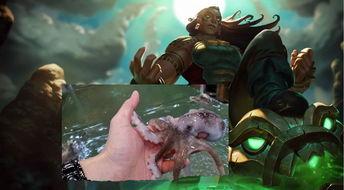 活体章鱼吃瓜视频,揭秘活体章鱼吃瓜的奇妙瞬间