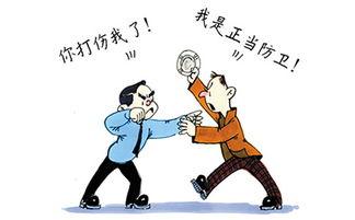 明星过失致人重伤案件,法律与人性的碰撞