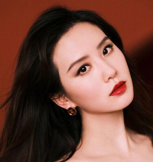 影视 明星,影视明星的璀璨人生