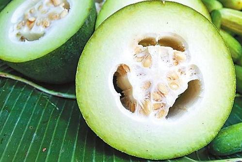 三林崩瓜糖尿病人可吃吗,糖尿病患者的健康选择