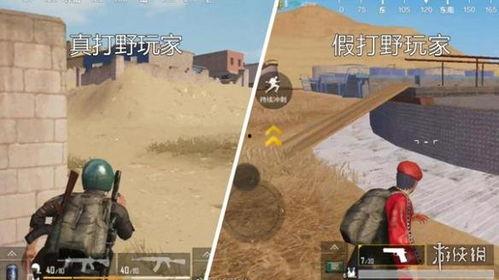 吃鸡沙漠爆料视频,吃鸡游戏爆料视频揭秘神秘沙漠地图