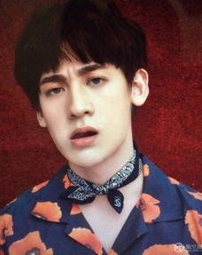 中国留韩明星,中国留韩明星风采录