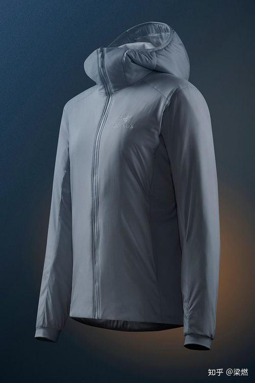 始祖鸟 明星,明星化石的进化奥秘