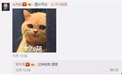 群众吃瓜怎么回复,揭秘娱乐圈幕后真相