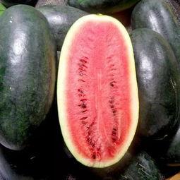 棚瓜怎么吃最好吃,这样吃最可口！