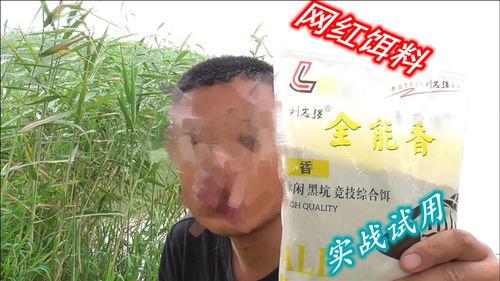 网红饵,揭秘网络红人的魅力与影响力