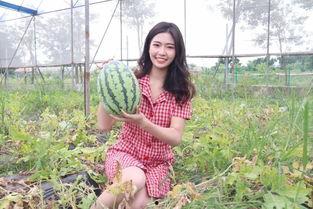 火辣福利吃瓜在线,吃瓜在线，揭秘娱乐圈幕后故事