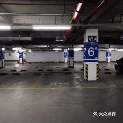 盐城停车场爆料视频最新,揭露惊人真相！