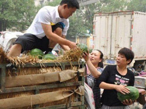 民和县女子吃瓜事件,一场引发社会关注的食品安全风波