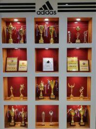 头条生活体验区,头条生活体验区深度解析