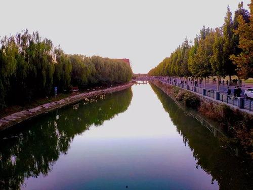 头条粉丝投资森仔鱼塘,揭秘网红经济背后的投资热潮