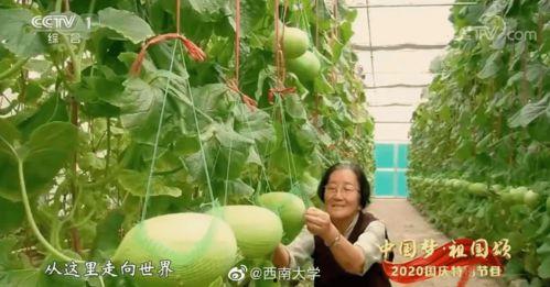 2023年开年吃瓜,娱乐圈风云再起，明星八卦盘点