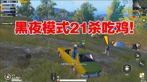 瓜牛哥吃鸡视频,趣味横生的游戏体验分享