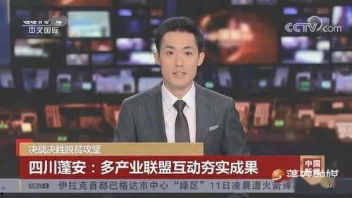 蓬安新闻爆料事件,真相与舆论的交织