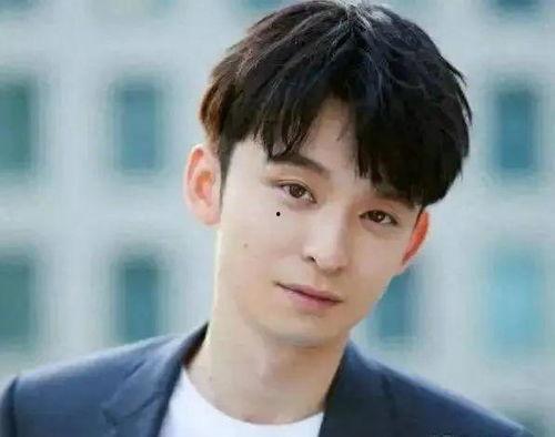 明星娱乐圈吃瓜王鹤棣,娱乐圈吃瓜王，揭秘明星幕后故事